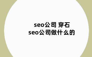 seo公司 穿石seo公司做什么的